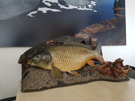 Ruční krejčovství Kardašova Řečice